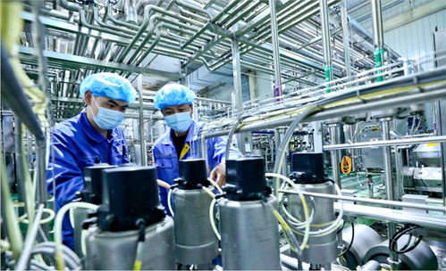 用新質生產力破解乳業困局 甘肅前進集團傳祁甘味乳業新型乳制品走俏市場