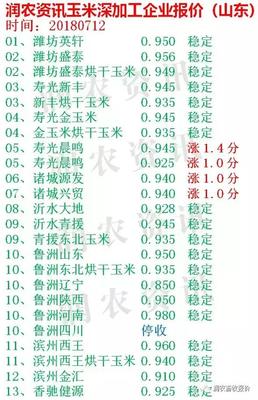 今日玉米價格 山東壽光晨鳴每噸上漲28元